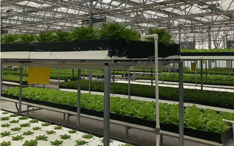 利来囯际·w66(中国游)官方网站